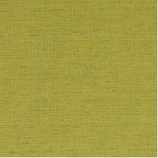 Ткань Ashley Wilde fabric Raffia-Lime