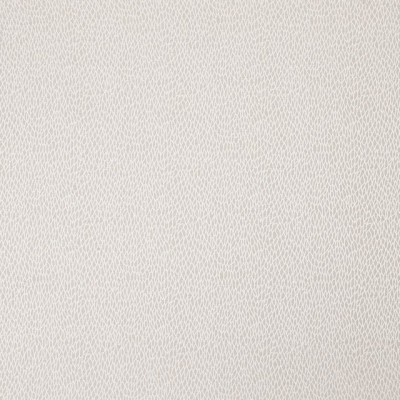 Ткань Ashley Wilde fabric Roxton-Champagne