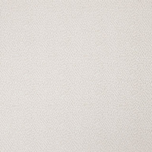 Ткань Ashley Wilde fabric Roxton-Champagne