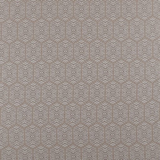 Ткань Ashley Wilde fabric Scorpio-Champagne