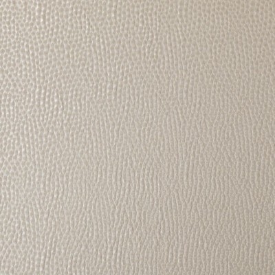 Ткань Ashley Wilde fabric Taurus-Champagne