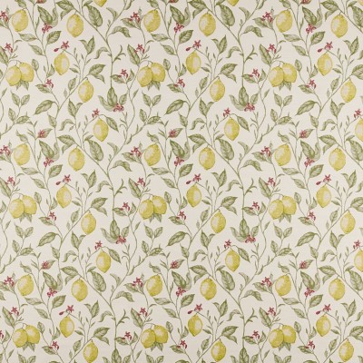 Ткань Ashley Wilde fabric Verna-Lemon