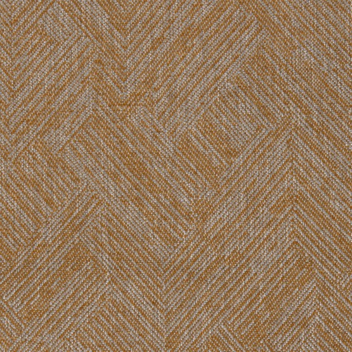 Ткань Purotto Gold CJM fabric