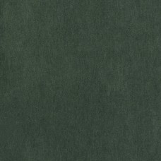 Ткань Clarence House fabric...