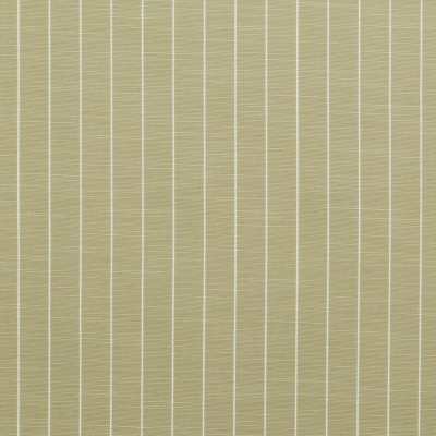Ткань Clarence House fabric 1386602/OD Sandton Stripe/Small