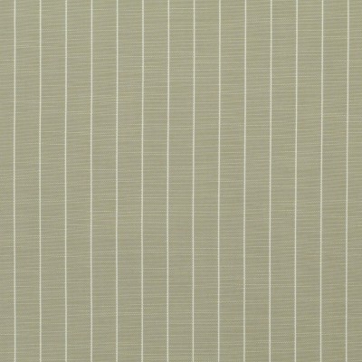 Ткань 1386611/OD Sandton Stripe/Small Clarence House fabric