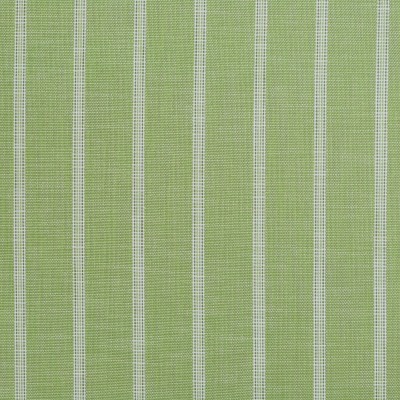 Ткань 1387406/OD Panama Stripe/Small Clarence House fabric