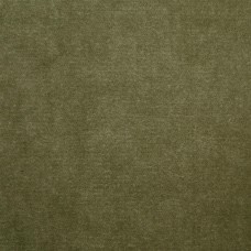 Ткань Clarence House fabric 1844912/Este Velvet/Fabric