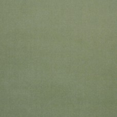 Ткань Clarence House fabric 1845322/Como Velvet/Fabric