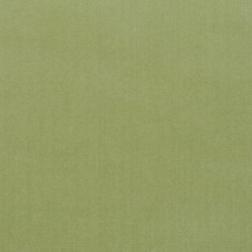 Ткань Clarence House fabric 1845324/Como Velvet/Fabric