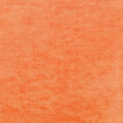 Ткань Clarence House fabric 1859209/Aida Velvet/Fabric