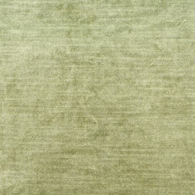 Ткань Clarence House fabric 1859210/Aida Velvet/Fabric