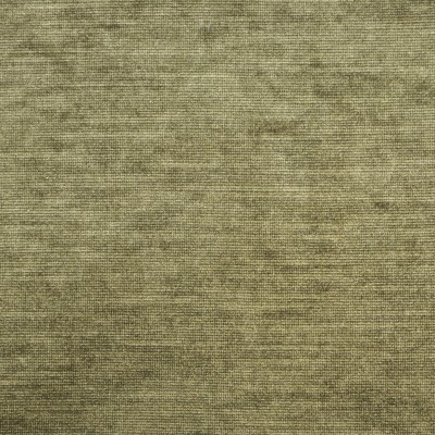 Ткань Clarence House fabric 1859211/Aida Velvet/Fabric