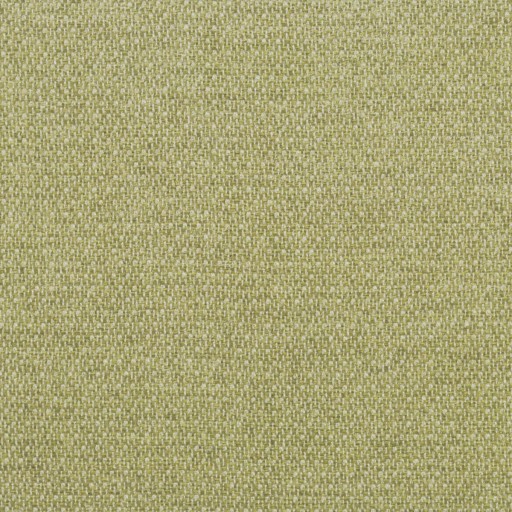 Ткань Clarence House fabric 1870413/Domingo/Italy