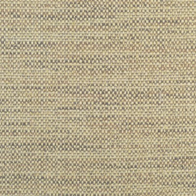 Ткань Clarence House fabric 1874403/Augustus/Fabric