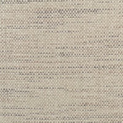 Ткань Clarence House fabric 1874406/Augustus/Fabric