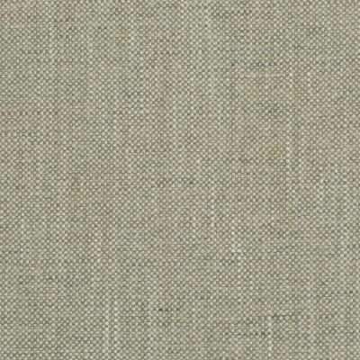 Ткань Clarence House fabric 1878103/McDowell/Fabric