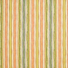 Ткань Clarence House fabric 1880302/Garden Stripe/Orange / Spice
