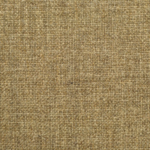 Ткань Clarence House fabric 1890903/Alistair/Fabric
