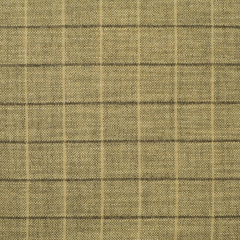 Ткань Clarence House fabric...