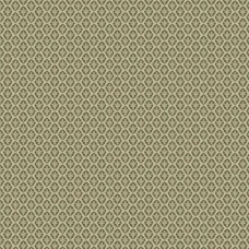 Ткань Clarence House fabric 4162004/Piccolo Albero/Small