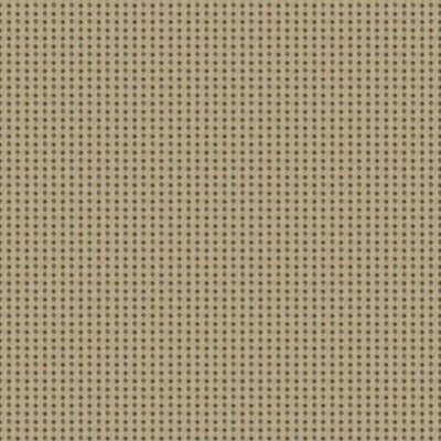 Ткань Clarence House fabric 4179004/Parity/Small