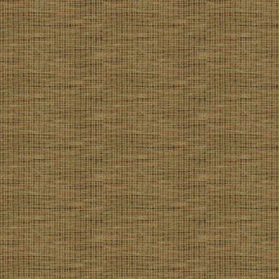 Ткань Clarence House fabric 4184509/Amata/Small