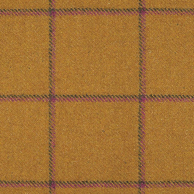 Ткань Glasgow /2002 Delius fabric