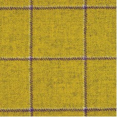 Ткань Glasgow /2004 Delius fabric