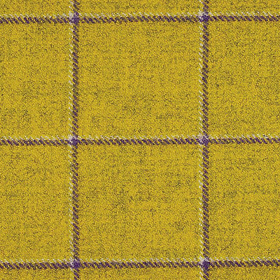 Ткань Glasgow /2004 Delius fabric