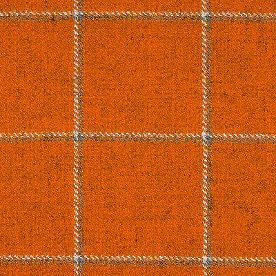 Ткань Glasgow /3007 Delius fabric