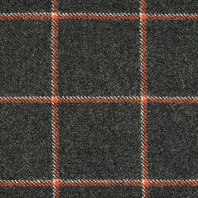 Ткань Glasgow /8005 Delius fabric
