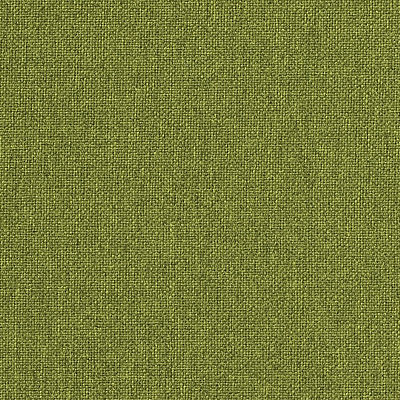 Ткань Gavi /6552 Delius fabric