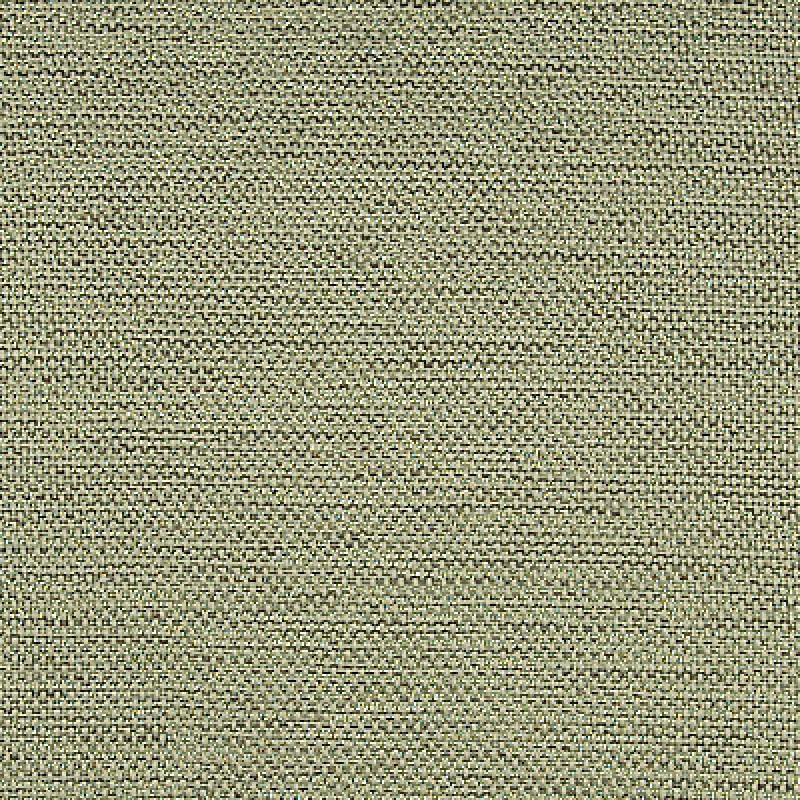 Ткани Delius fabric Sisto DIMOUT/6550