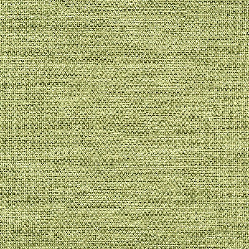 Ткани Delius fabric Sisto DIMOUT/6551