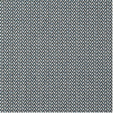 Ткань Duro /5003 Delius fabric