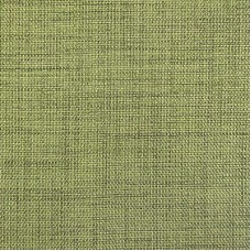 Ткань Blake DIMOUT/6550 Delius fabric