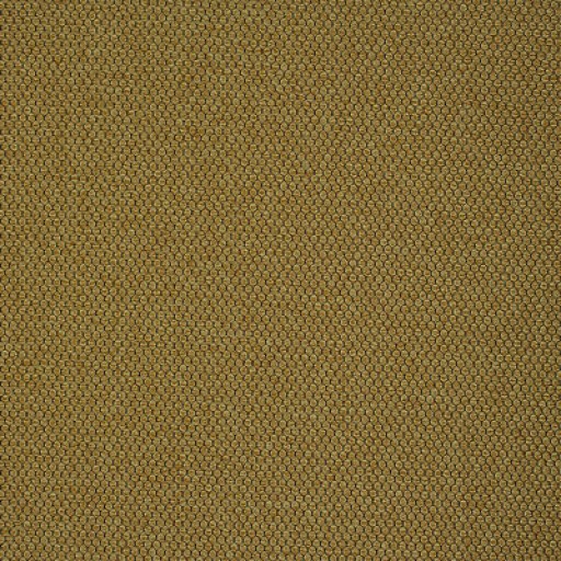 Ткани Delius fabric Brooks DELIGARD/2550