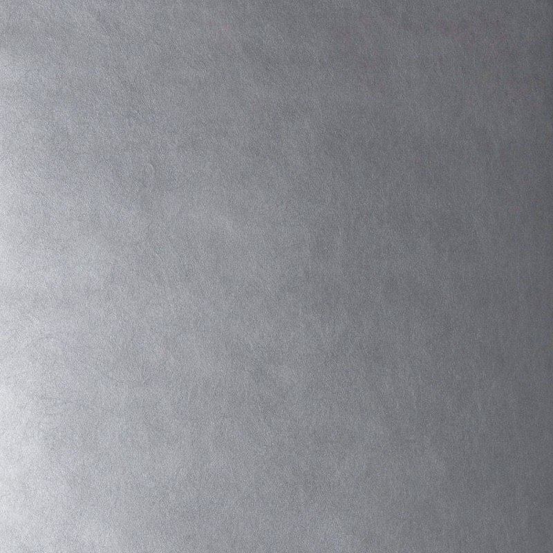 Обои Fabricut 50222W Muse Silver 01