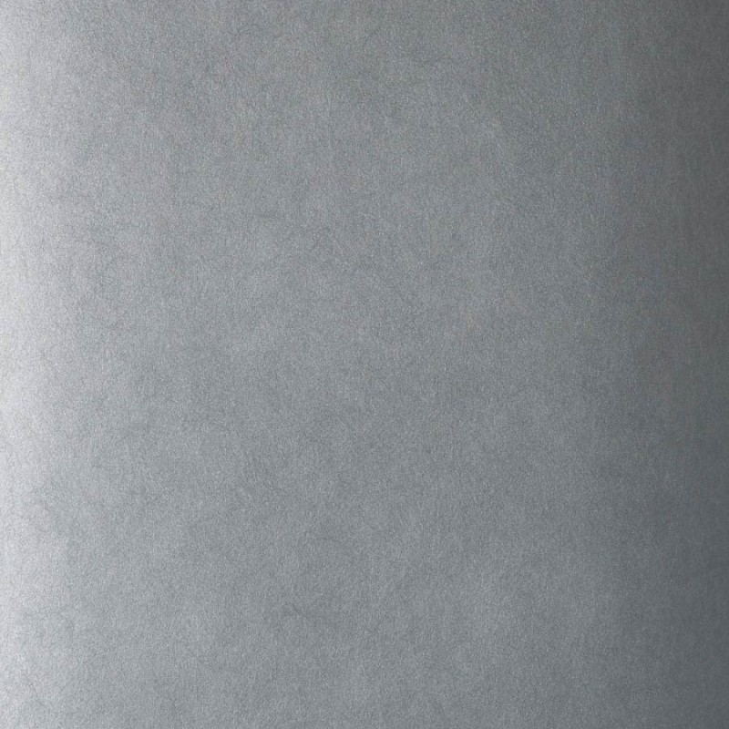 Обои Fabricut 50222W Muse Titanium 05