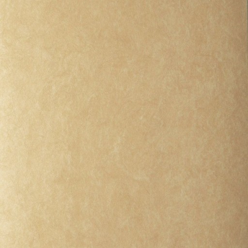 Обои Fabricut 50222W Muse Raffia 21