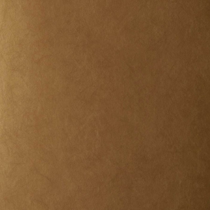 Обои Fabricut 50222W Muse Caramel 30 Обои Fabricut 50222W Muse Caramel 30