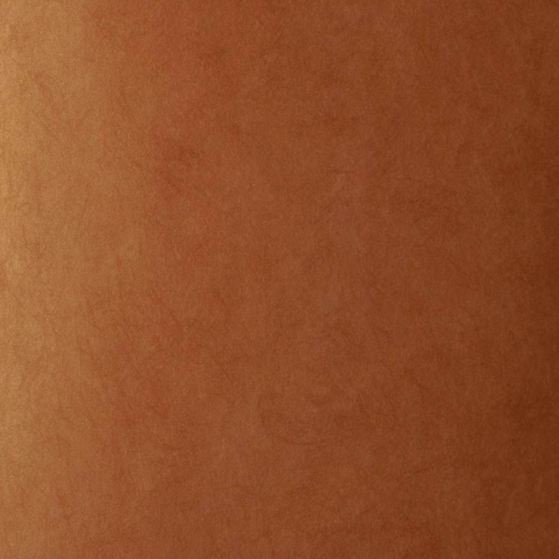 Обои Fabricut 50222W Muse Autumn 32