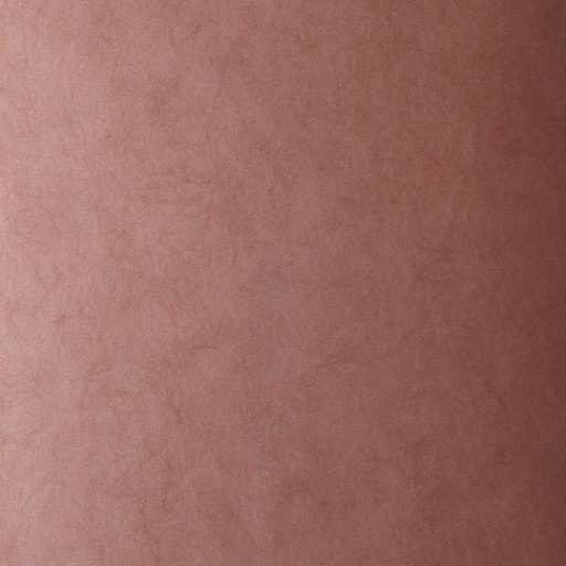 Обои Fabricut 50222W Muse Teaberry 36