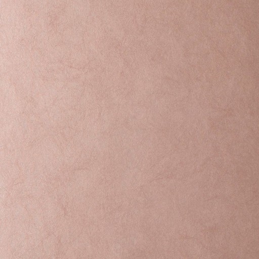 Обои Fabricut 50222W Muse Blush 37