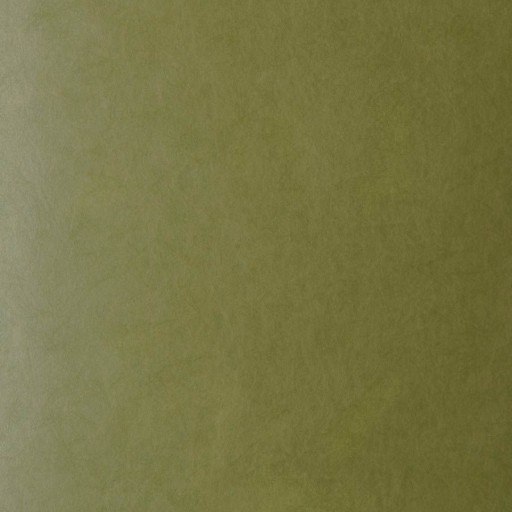 Обои Fabricut 50222W Muse Sprig 48