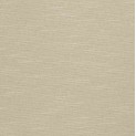 Expressive Window (4 Books)