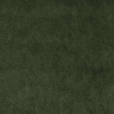 Ткань Fabricut fabric Baird Turtle