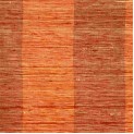 Shalini Stripe II