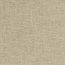 Ткань Fabricut fabric Haney Raffia